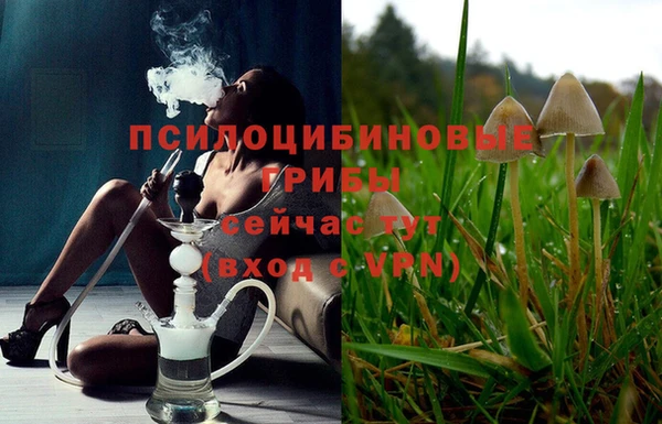 меф Бородино