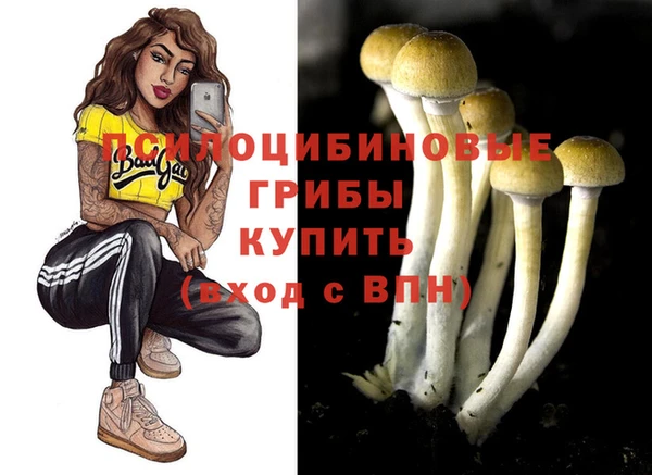 меф Бородино