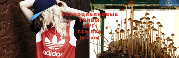 а пвп мука Бугульма