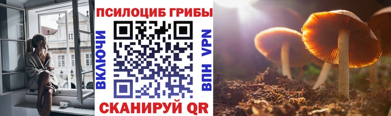 Псилоцибиновые грибы GOLDEN TEACHER  shop телеграм  Иноземцево  где можно купить наркотик 